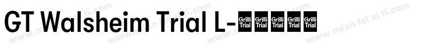 GT Walsheim Trial L字体转换